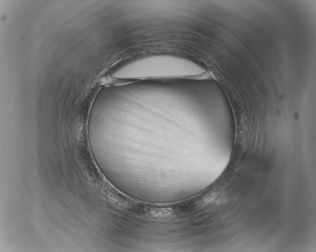 X0000053090355200508012038