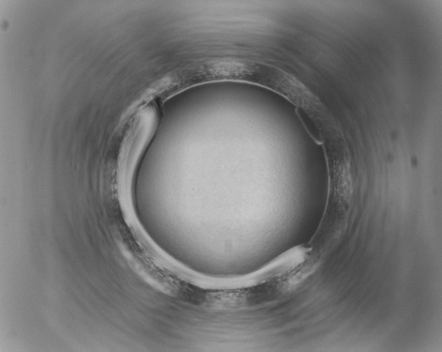 X0000053090356200508012038