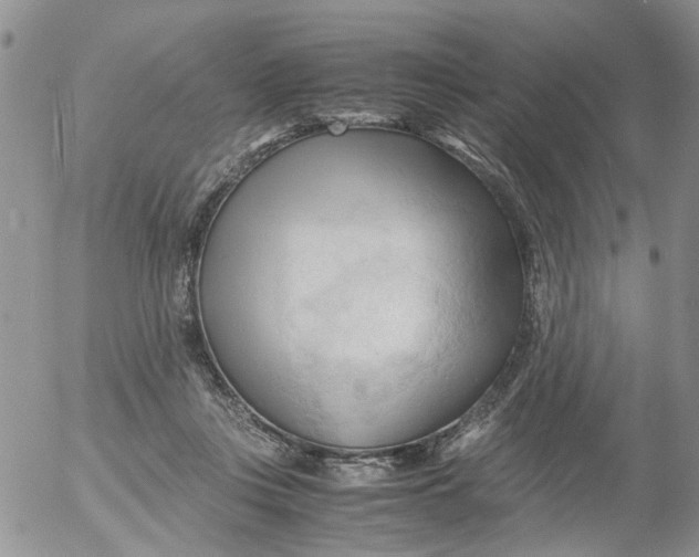 X0000053090359200508012038