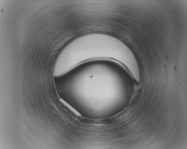 X0000053090360200508012038