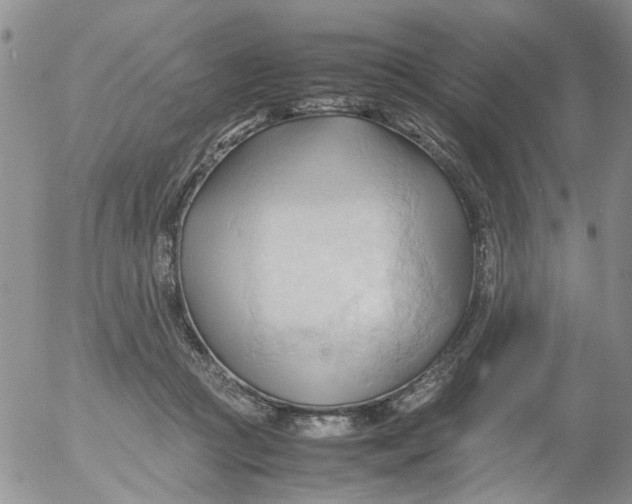 X0000053090361200508012038