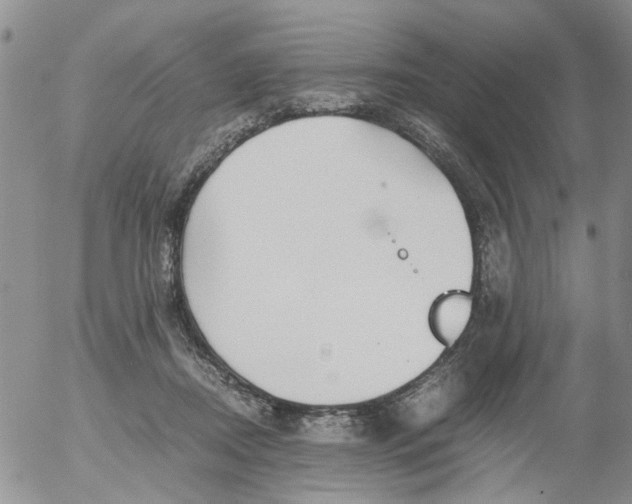 X0000053090362200508012038