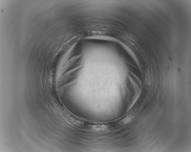 X0000053090363200508012038