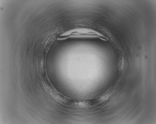 X0000053090365200508012039