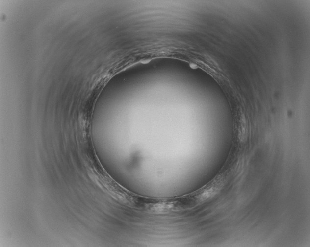 X0000053090366200508012039