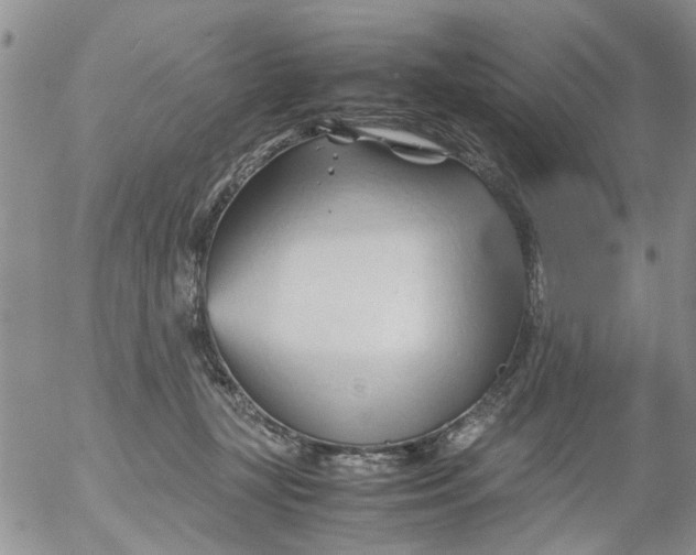 X0000053090367200508012039