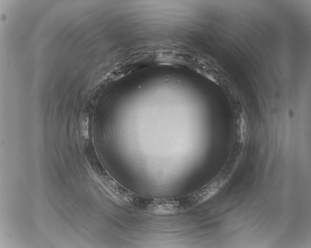 X0000053090368200508012039