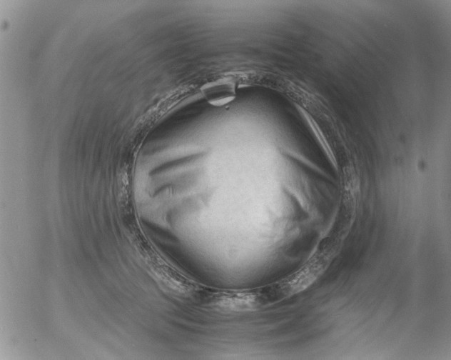 X0000053090369200508012039