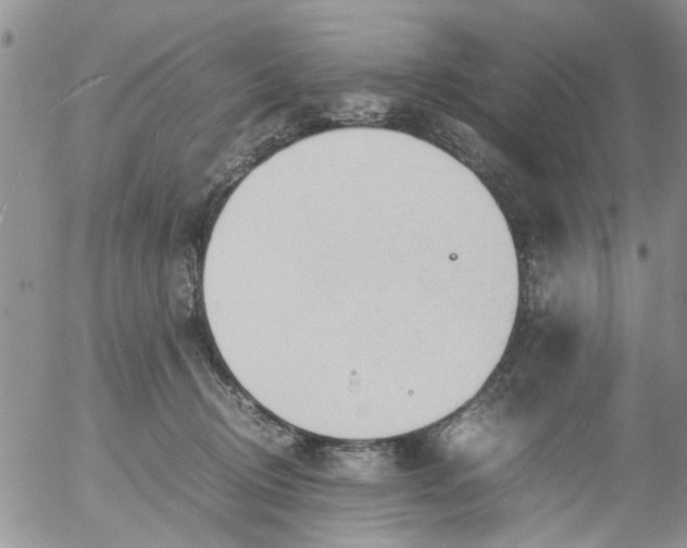 X0000053090370200508012039