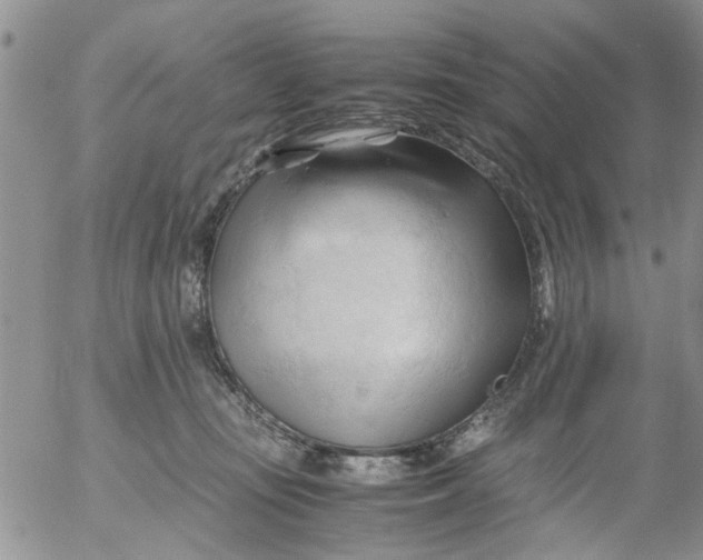 X0000053090371200508012039