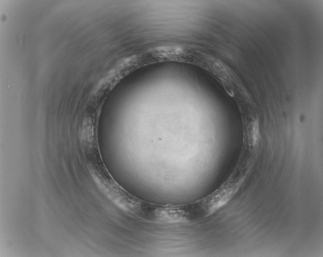 X0000053090372200508012039