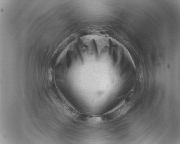 X0000053090374200508012039