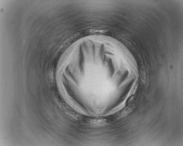 X0000053090375200508012039