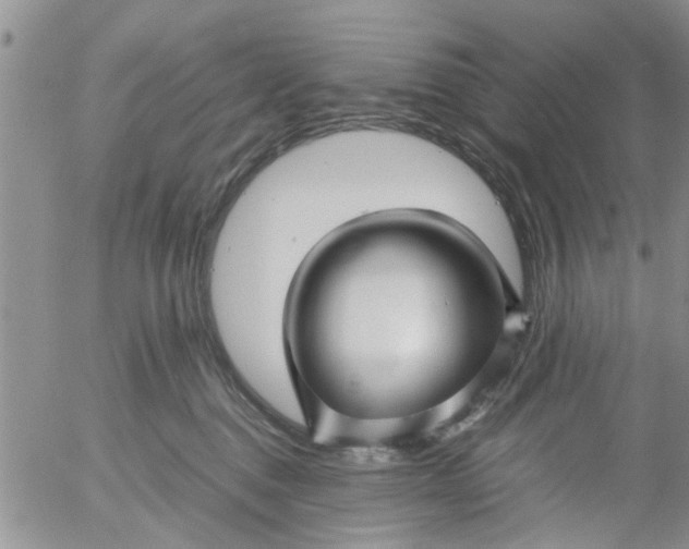 X0000053090376200508012039