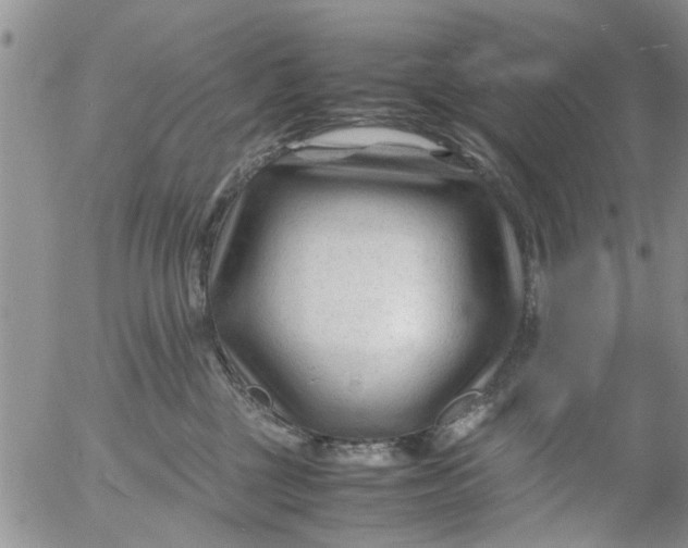 X0000053090377200508012039