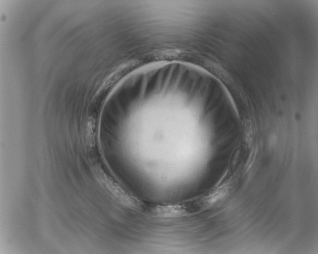 X0000053090378200508012039