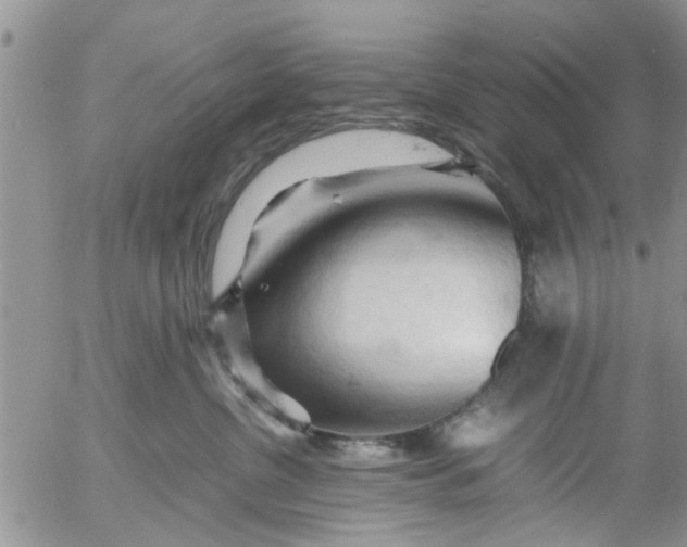 X0000053090380200508012039