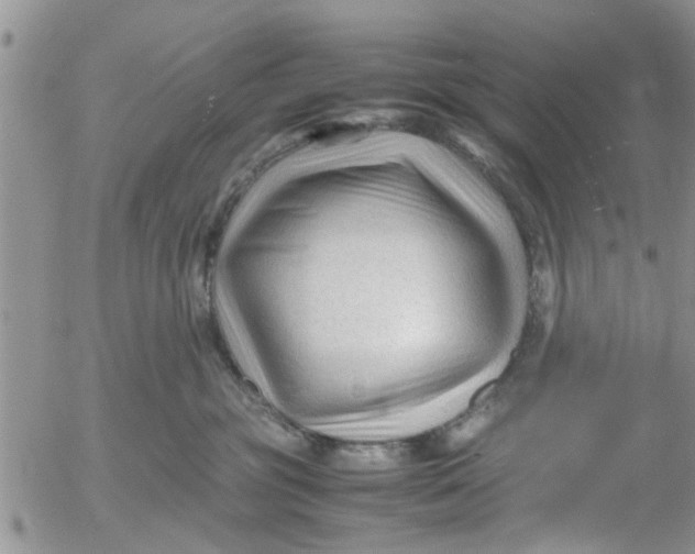 X0000053090381200508012039