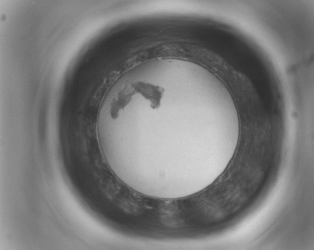 X0000053090382200508012039