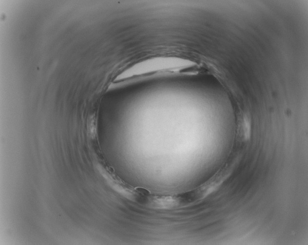 X0000053090383200508012039