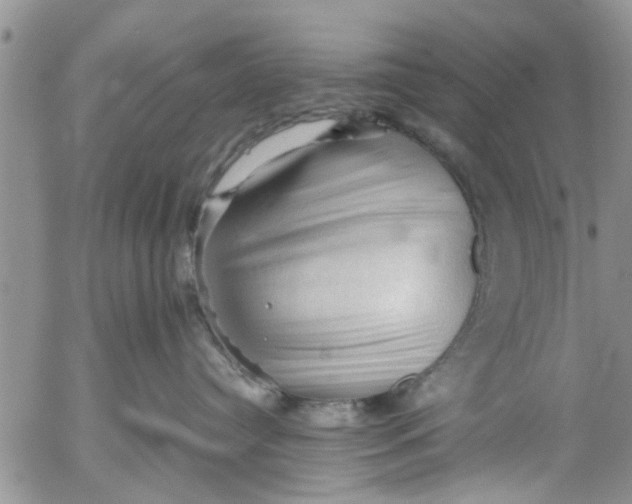 X0000053090384200508012039