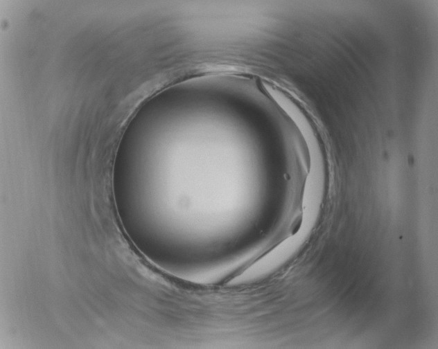 X0000053090385200508012038