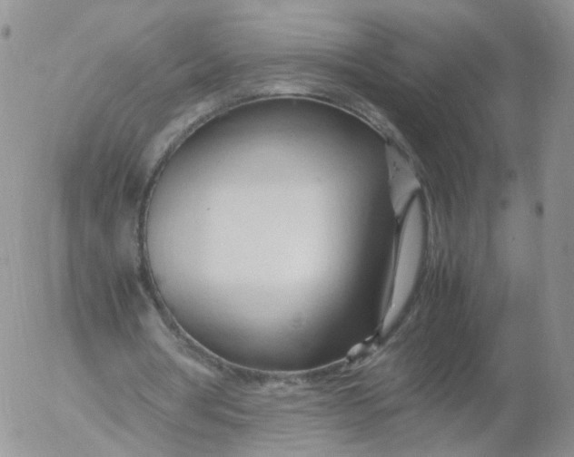 X0000053090386200508012038