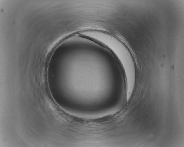 X0000053090387200508012038