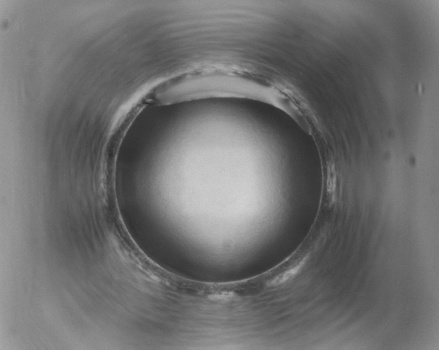 X0000053090388200508012038