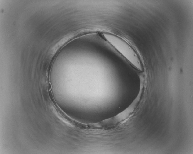 X0000053090389200508012038