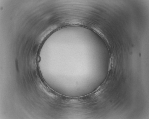 X0000053090390200508012038