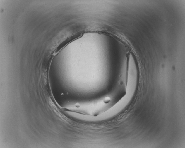 X0000053090393200508012038