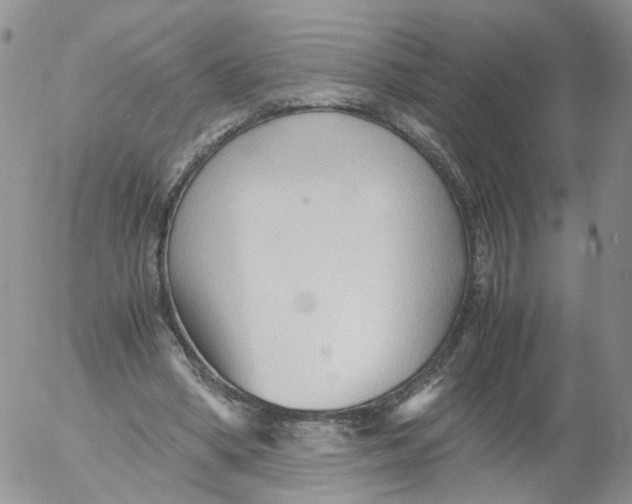 X0000053090394200508012038