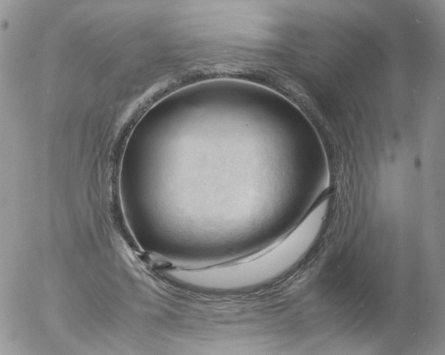 X0000053090395200508012038