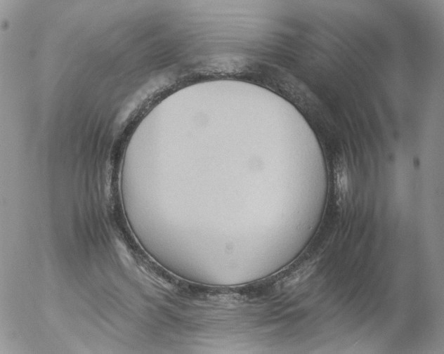 X0000053090396200508012038