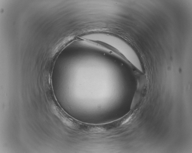 X0000053090397200508012038