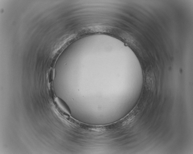 X0000053090398200508012038