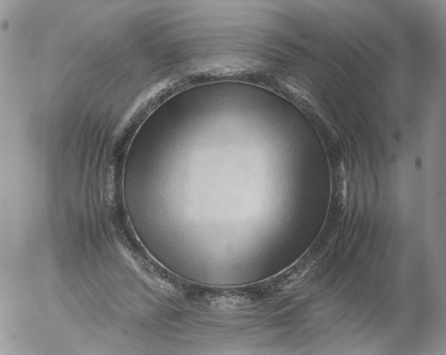 X0000053090400200508012038