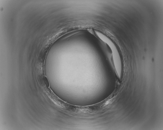 X0000053090401200508012038