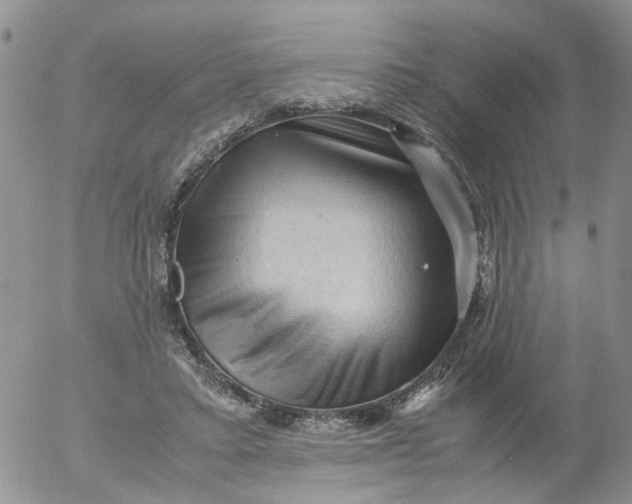 X0000053090403200508012038