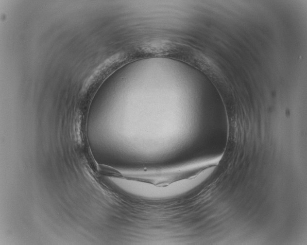 X0000053090404200508012038