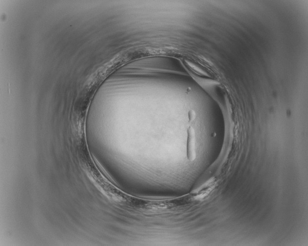 X0000053090405200508012038