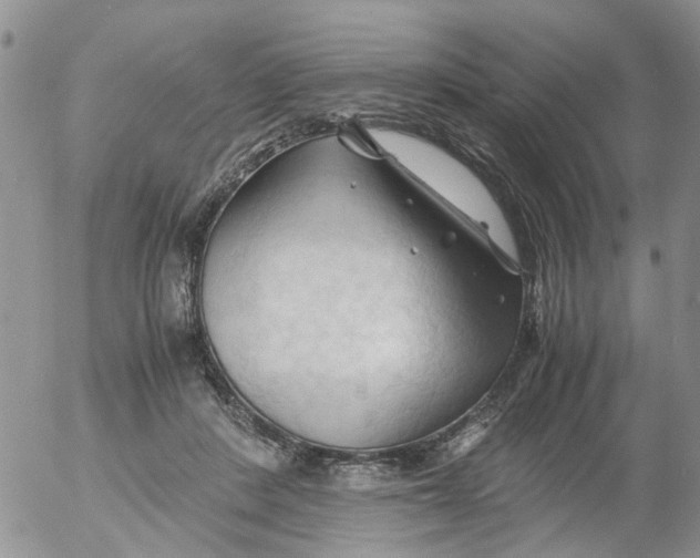 X0000053090408200508012038