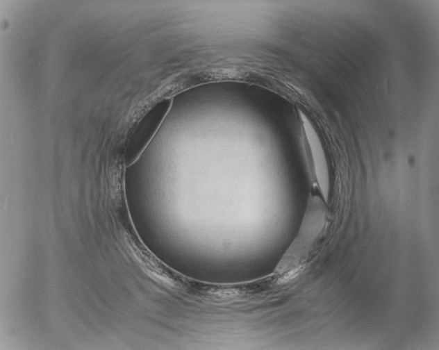 X0000053090409200508012038