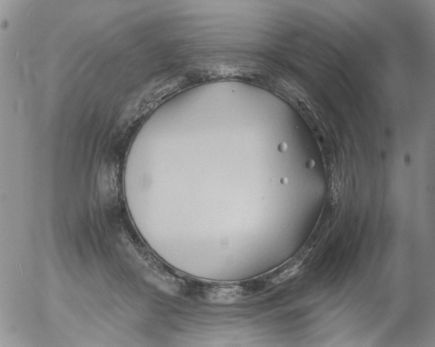 X0000053090410200508012038