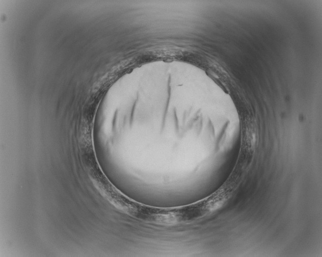 X0000053090411200508012038