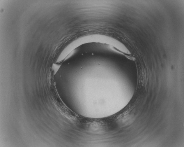 X0000053090412200508012038