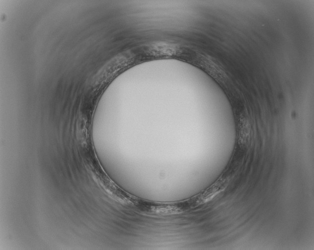 X0000053090414200508012038