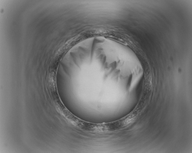 X0000053090415200508012038