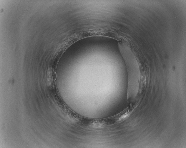 X0000053090416200508012038